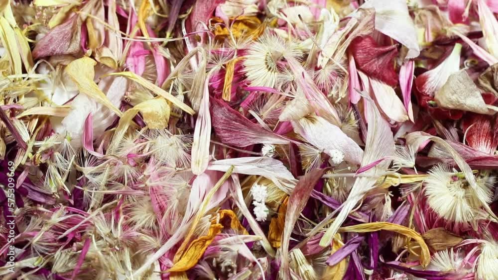 Background with dried flower petals. Background with dried flower petals.