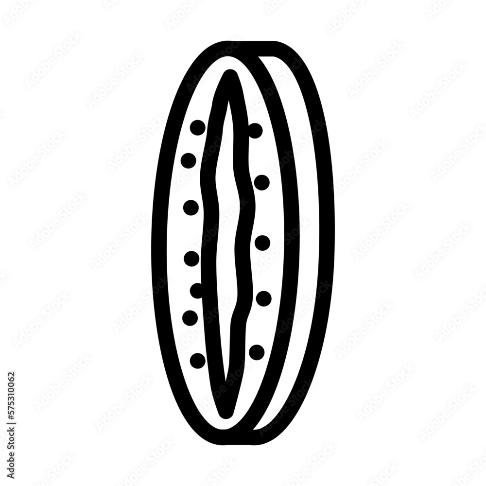 cut fresh kiwi line icon vector illustration cut fresh kiwi line icon vector illustration