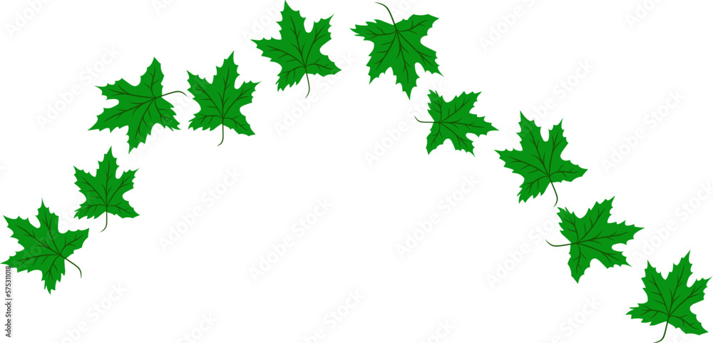 Maple leaf illustration. Maple leaf decoration Maple leaf illustration. Maple leaf decoration