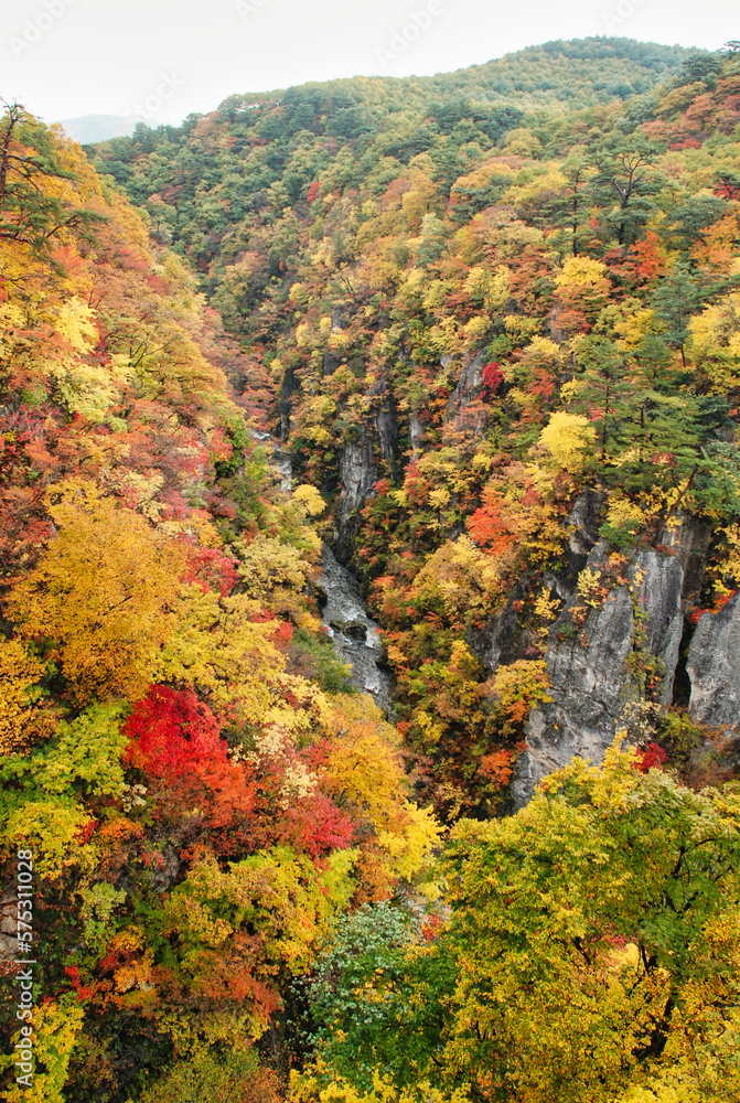 Japanese Scenery - Autumn mountain