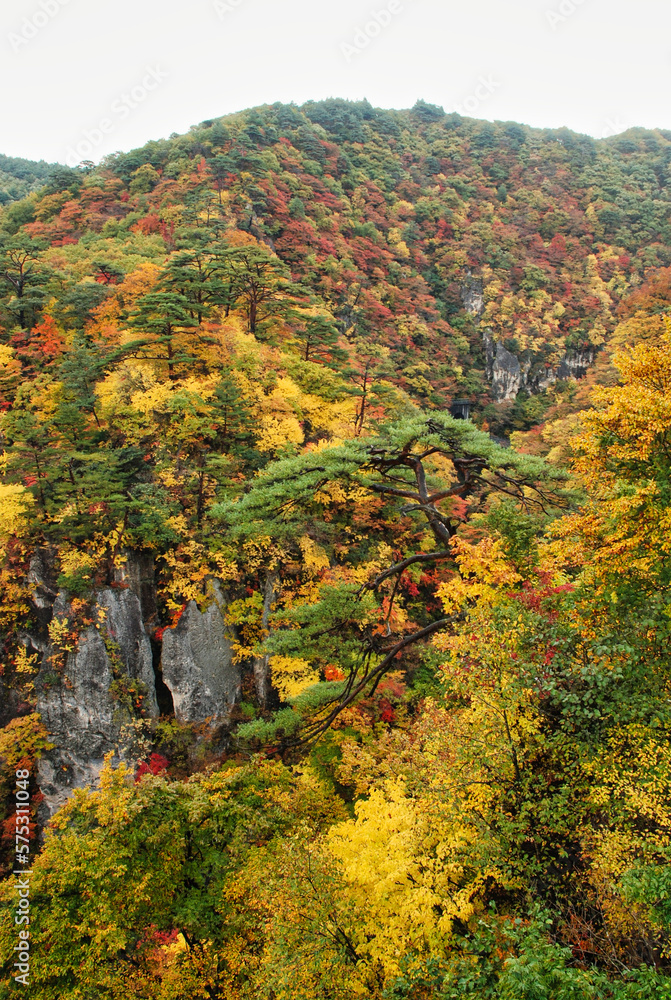Japanese Scenery - Autumn mountain Japanese Scenery - Autumn mountain