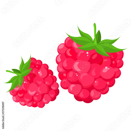 Vector image of raspberries . The concept of a healthy diet and lifestyle. A ripe and delicious product. A bright element for your design