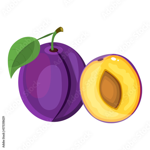 Vector image of a plum tree. The concept of a healthy diet and lifestyle. A ripe and delicious product. A bright element for your design