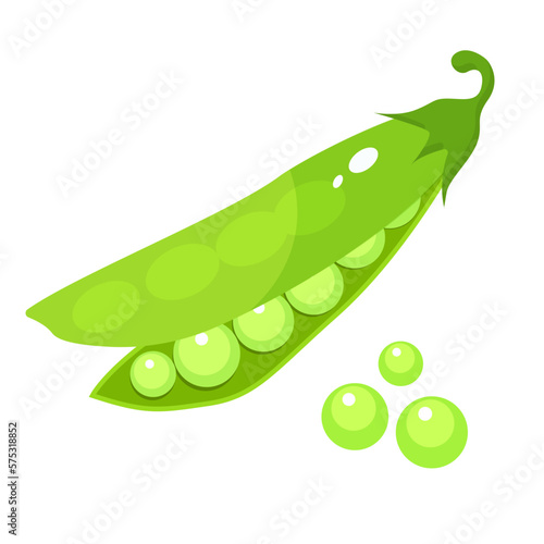 Vector image of peas. The concept of a healthy diet and lifestyle. A ripe and delicious product. A bright element for your design