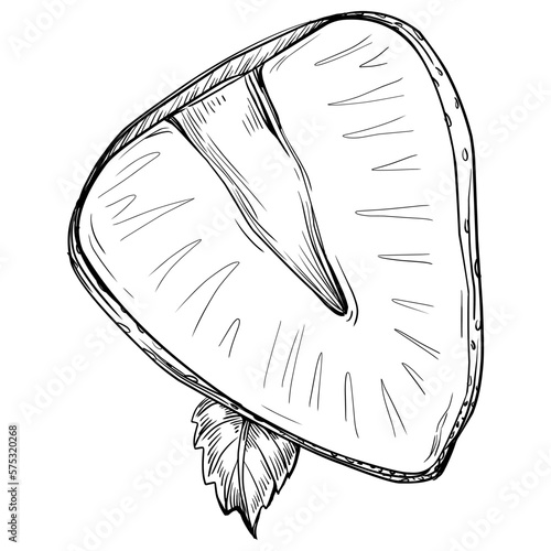 Strawberry Hand drawn outline with transparent background. Vector