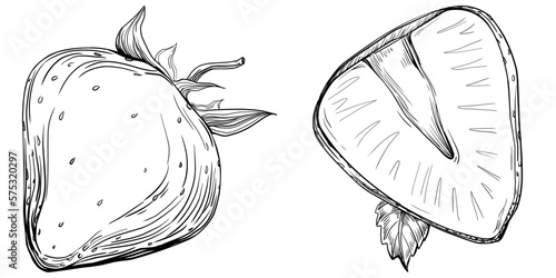 Strawberry Hand drawn outline with transparent background. Vector