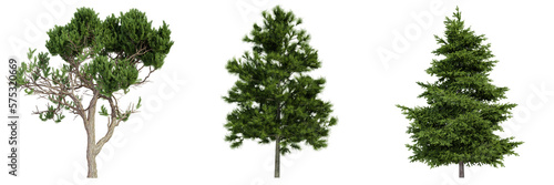 various tree isolated on white, photorealistic render © Gbor