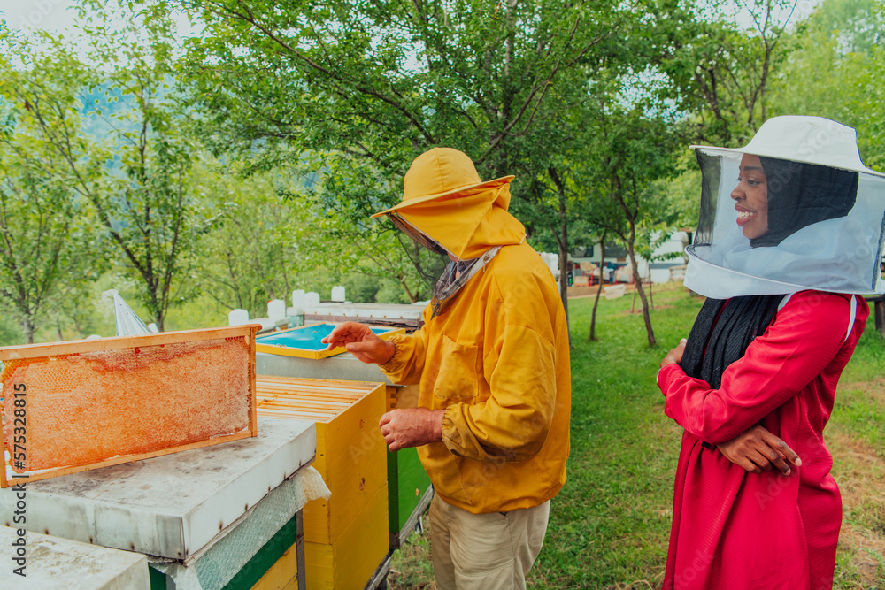 African American Muslim women with an experienced senior beekeeper checking the quality and production of honey at a large bee farm