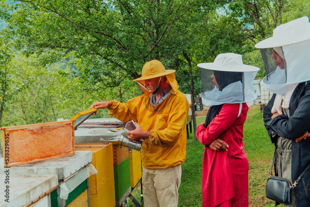 Business partners with an experienced senior beekeeper checking the quality and production of honey at a large bee farm