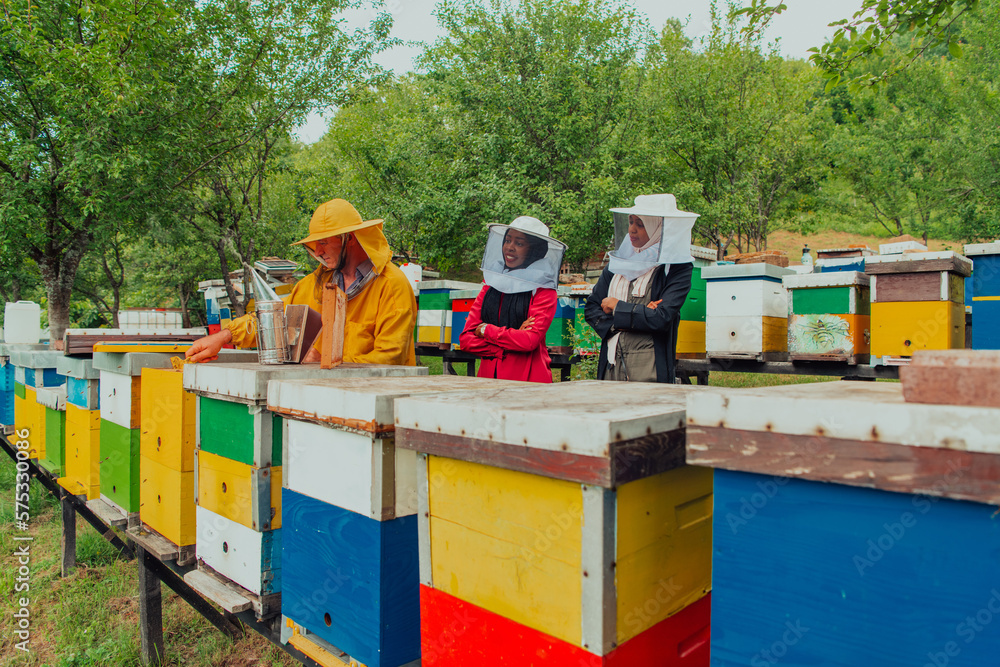 Business partners with an experienced senior beekeeper checking the quality and production of honey at a large bee farm Business partners with an experienced senior beekeeper checking the quality and production of honey at a large bee farm