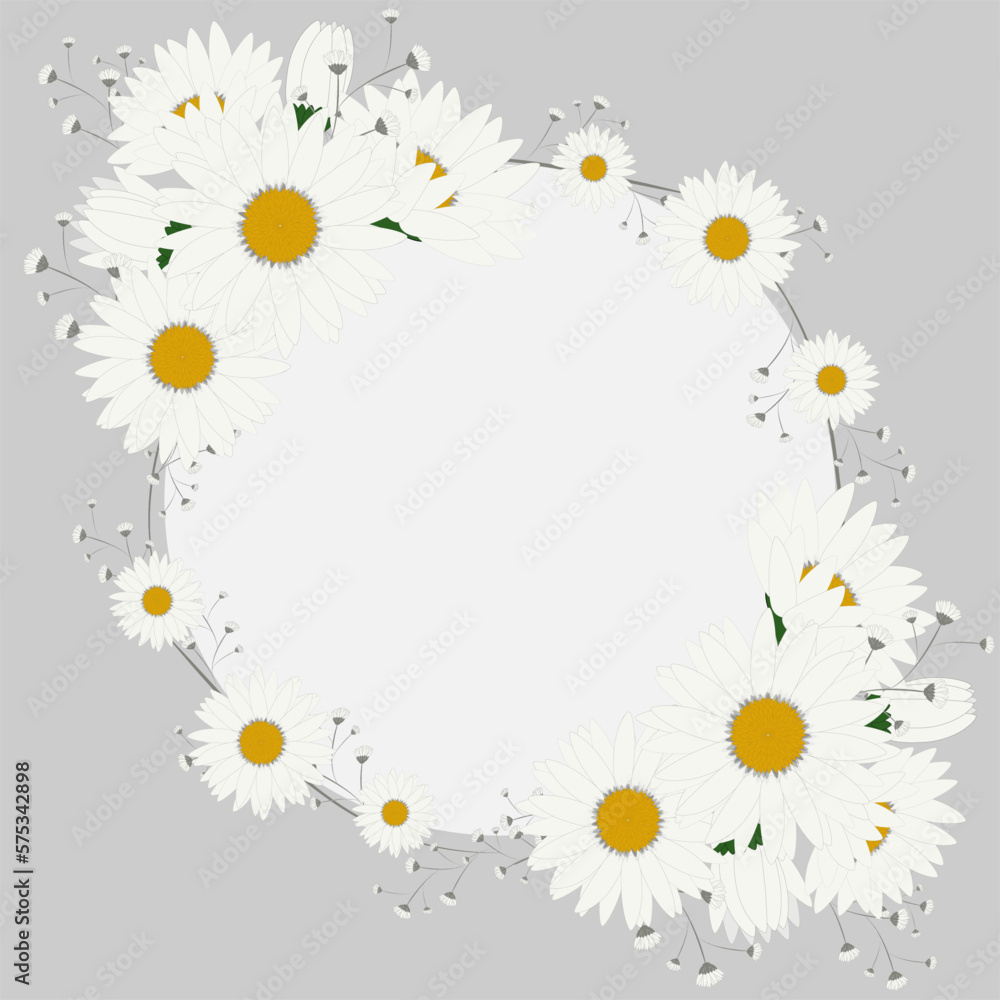 Beautiful chamomile frame. White flowers frame Beautiful chamomile frame. White flowers frame
