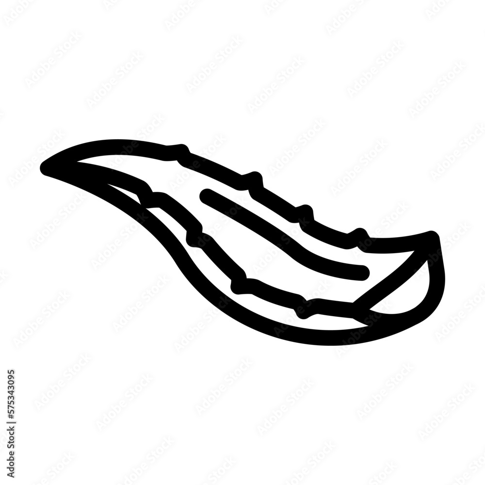 leaf aloe vera line icon vector illustration leaf aloe vera line icon vector illustration