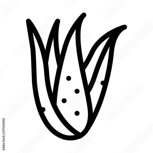 plant aloe vera line icon vector illustration
