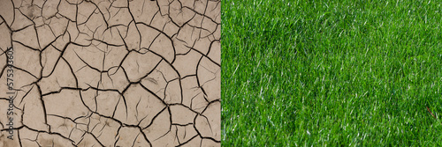 Wechsel von Trockenem Erdboden zu grüner Wiese