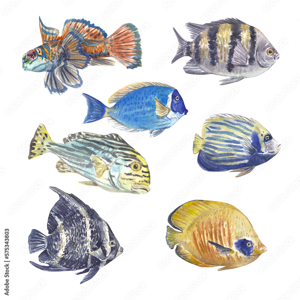 A set of bright tropical fish on a white background. Watercolor illustration of exotic animals with unusual patterns. Suitable for the design of websites, postcards, posters, packages.