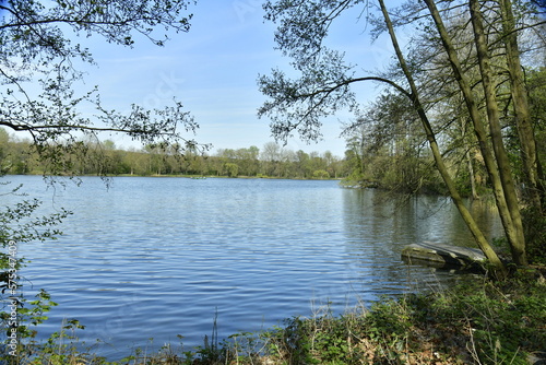 Les berges sauvages du grand étang au domaine provincial de Kessel-Lo au nord de Louvain 