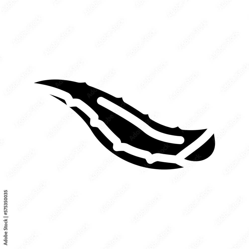 Fototapeta premium leaf aloe vera glyph icon vector illustration