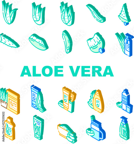 aloe vera plant nature green leaf icons set vector
