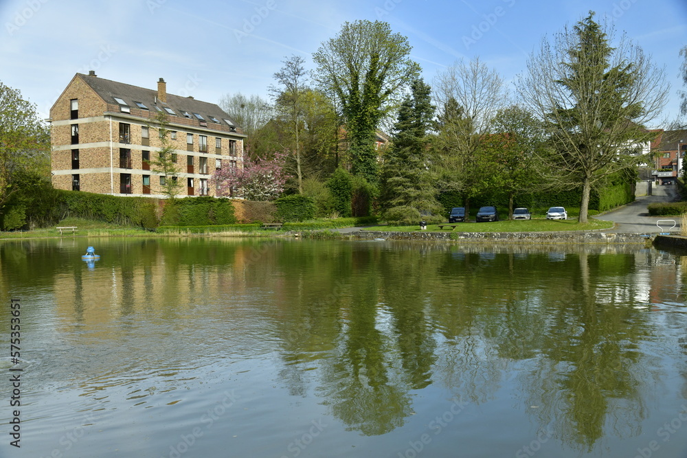 Petit étang avec coins de repos sous la végétation luxuriante à proximité d'une zone résidentielle à Braine-l'Alleud 