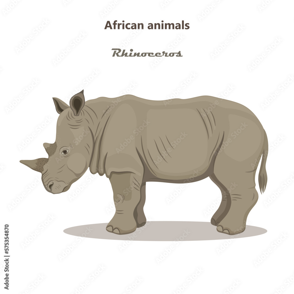 graphic vector outline illustration with rhinoceros graphic vector outline illustration with rhinoceros