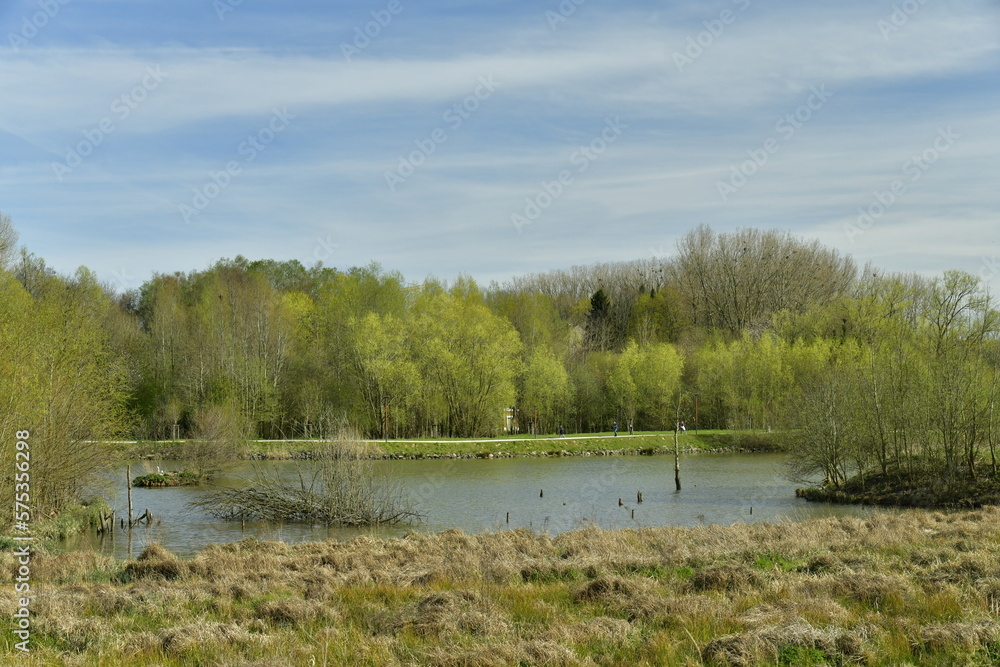 La réserve naturelle en face de l'étang principal au parc du Paradis à Braine-l'Alleud 