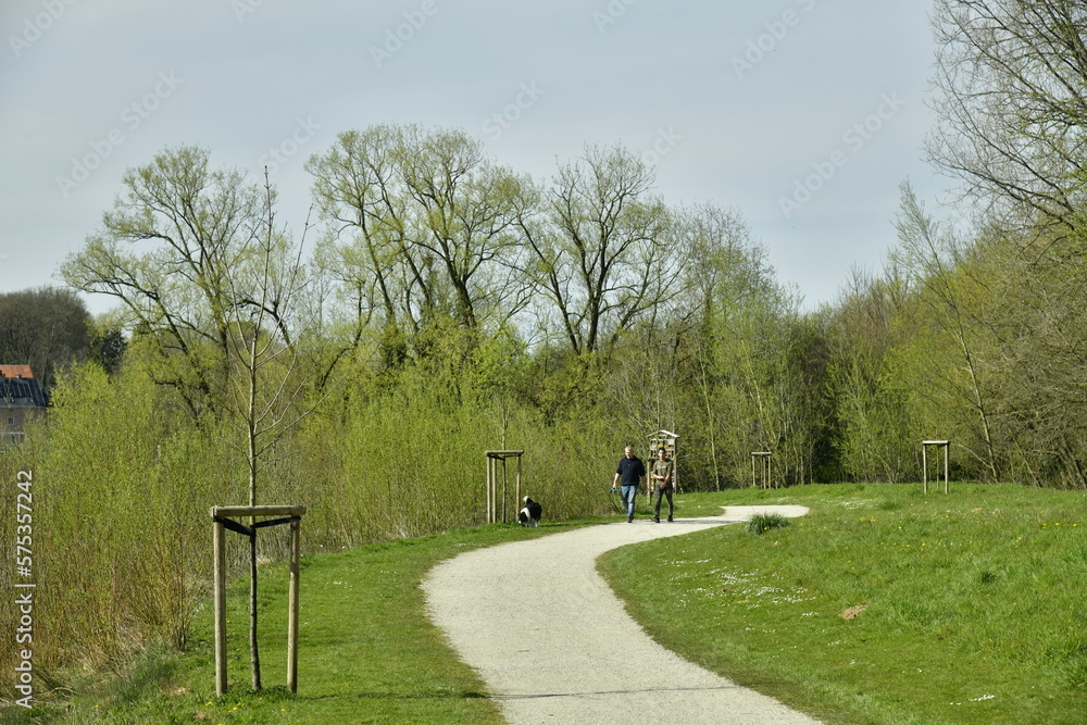Chemin en gravier clair longeant bois et plans d'eau au parc du Paradis à Braine-l'Alleud 