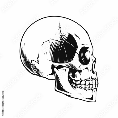 skull drawing from side design