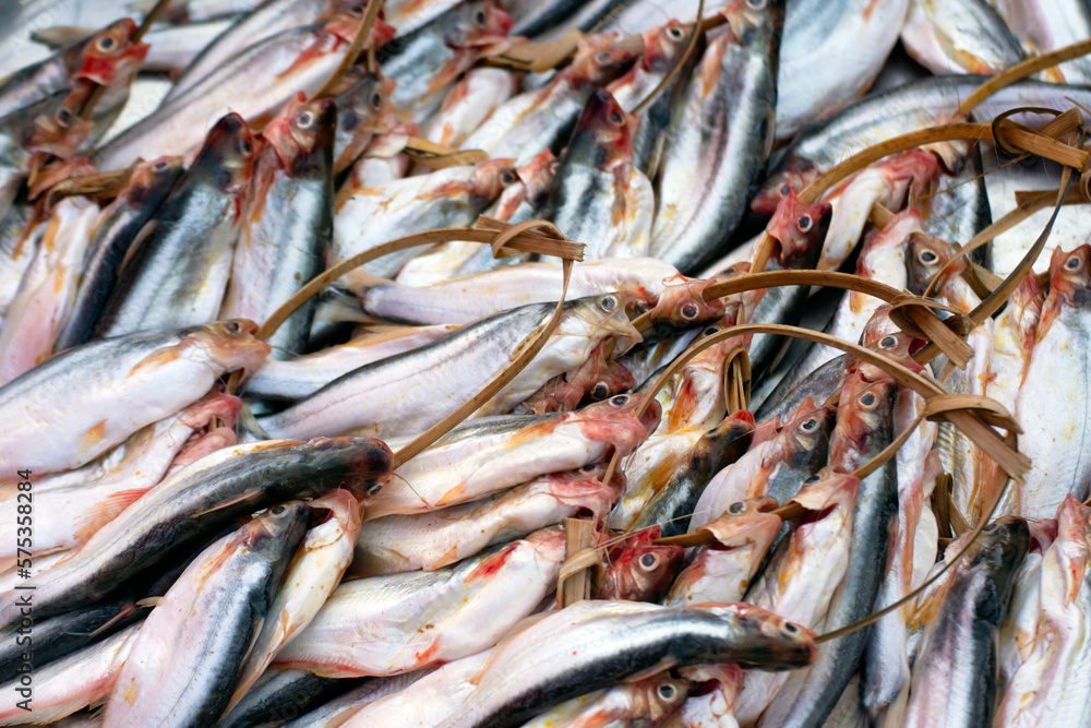 Obraz premium Fresh fish for sale at a fish market