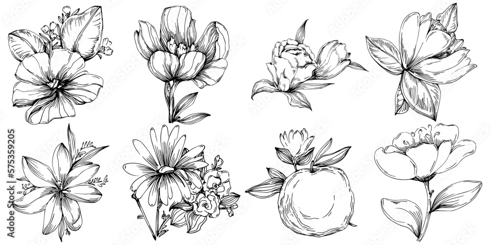 Line drawing flowers, wild flowers, hand drawn vector illustration. Line drawing flowers, wild flowers, hand drawn vector illustration.