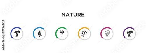 nature filled icons with infographic template. glyph icons such as white oak tree, balsam fir tree, american elm tree, black cherry black willow northern red oak vector.