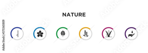 nature filled icons with infographic template. glyph icons such as bamboo branches, japanese flower, bigtooth aspen tree, bamboo plant from japan, reeds, conservation vector.