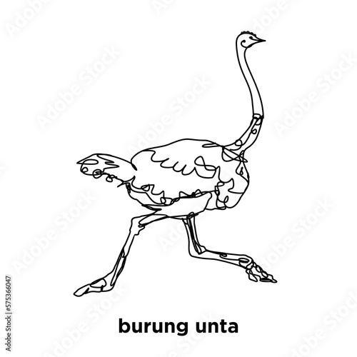 ostrich running, drawn in black and white line art style