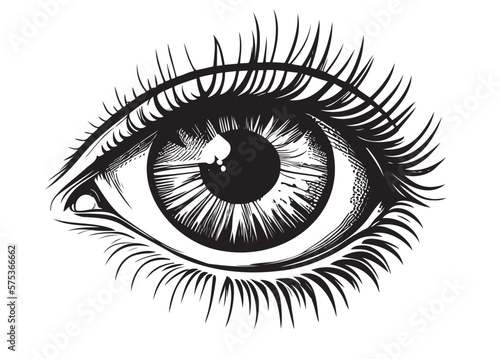 Human eye isolated on white background hand drawn sketch Vector