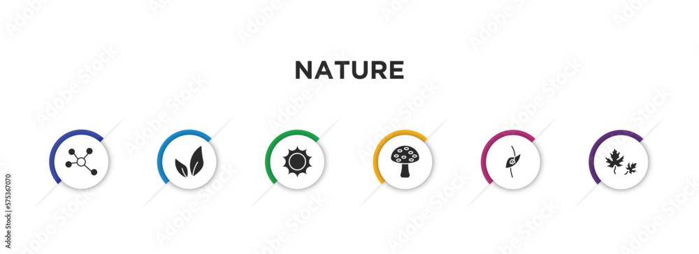 nature filled icons with infographic template. glyph icons such as element, tree leave, sol, amanita, perfoliate, dry leaf vector. nature filled icons with infographic template. glyph icons such as element, tree leave, sol, amanita, perfoliate, dry leaf vector.