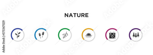 nature filled icons with infographic template. glyph icons such as pinnation, pedunculate, larch leaf, landscape inside frame, treatments, woods vector.