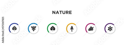 nature filled icons with infographic template. glyph icons such as birch, gladiolus, poplar, pine tree, oak, narcissus vector.