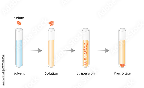 Solutions, suspension, precipitate. Solubility homogeneous mixture. Dissolving solids. Precipitation. Chemistry. Educational diagram, flask, isolated on white background. Vector illustration.