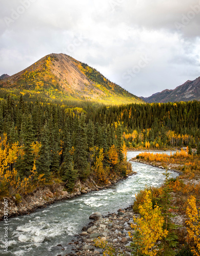 фотографія Scenic view of Savage river in Denali national park at fall