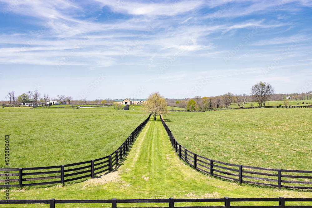 Kentucky Fence Line