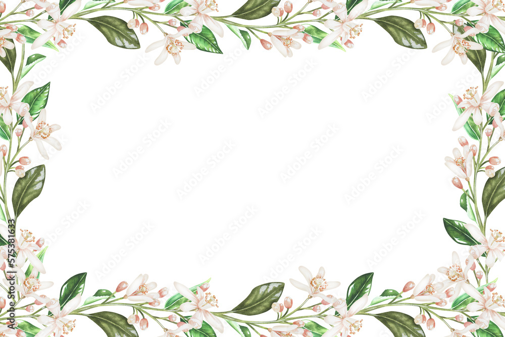 Obraz premium Rectangular frame of small branches of flowers. White buds of citrus. Place for inscription or text. Watercolor illustration.Isolated on a white background. For your design stickers, napkins, cards