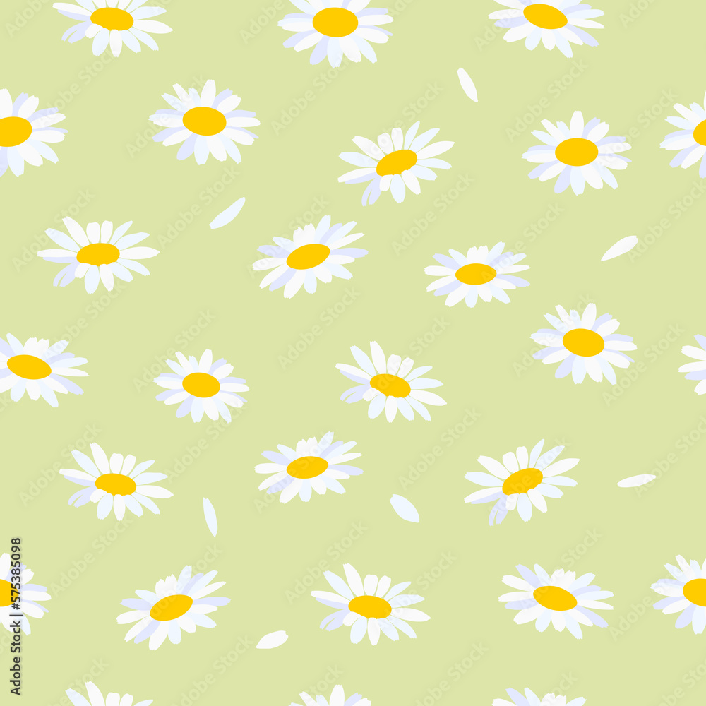 Seamless background with camomiles. Chamomile flowers on a light background.