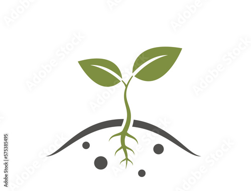 Plant sprout icon. sprouted from the ground. farming, planting and agriculture symbol
