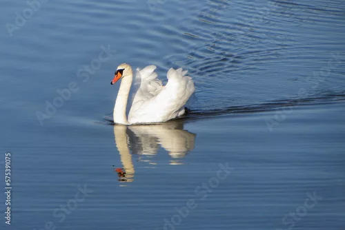 Fototapeta samoprzylepna Au fil de l'eau