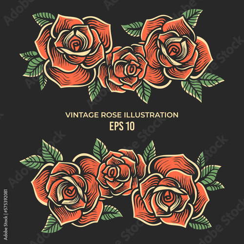 hand drawn vintage roses illustration