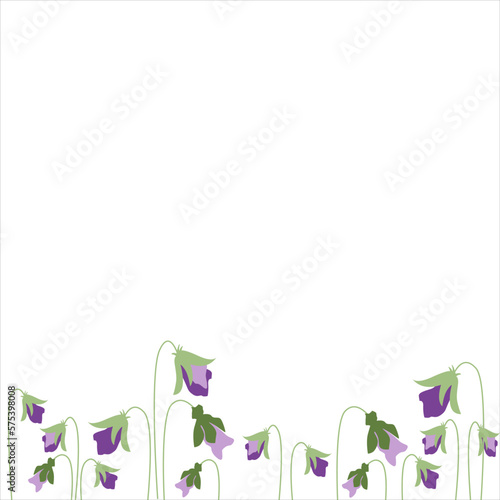 Viola Flower, violet pansies with leaves, Vector illustration isolated on white background. Vintage pansy flowers and, spring violet florals design element. First spring flowrers. photo