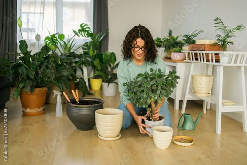 Woman transplanting green plant into new pot. Houseplant and home gardening concept