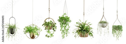 Tableau sur toile Collection of beautiful plants hanging in various pots isolated on transparent background