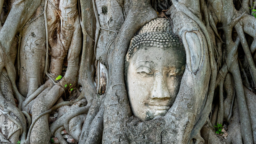 Stone sculpture of Buddha's face embedded in tree roots at temple