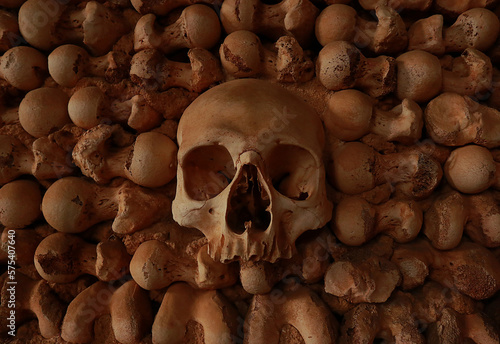 Old bones and skull made a wall
