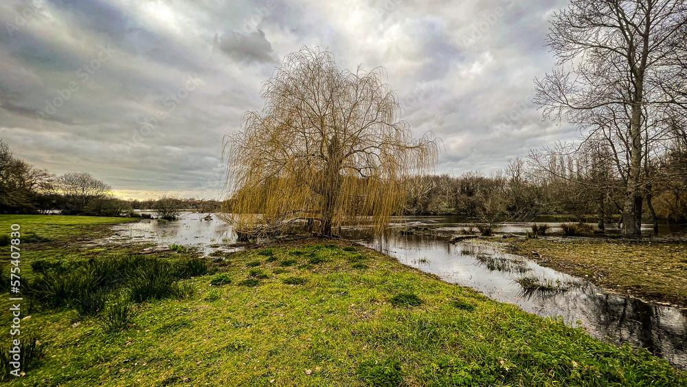 landscape with a river in the country landscape with a river in the country